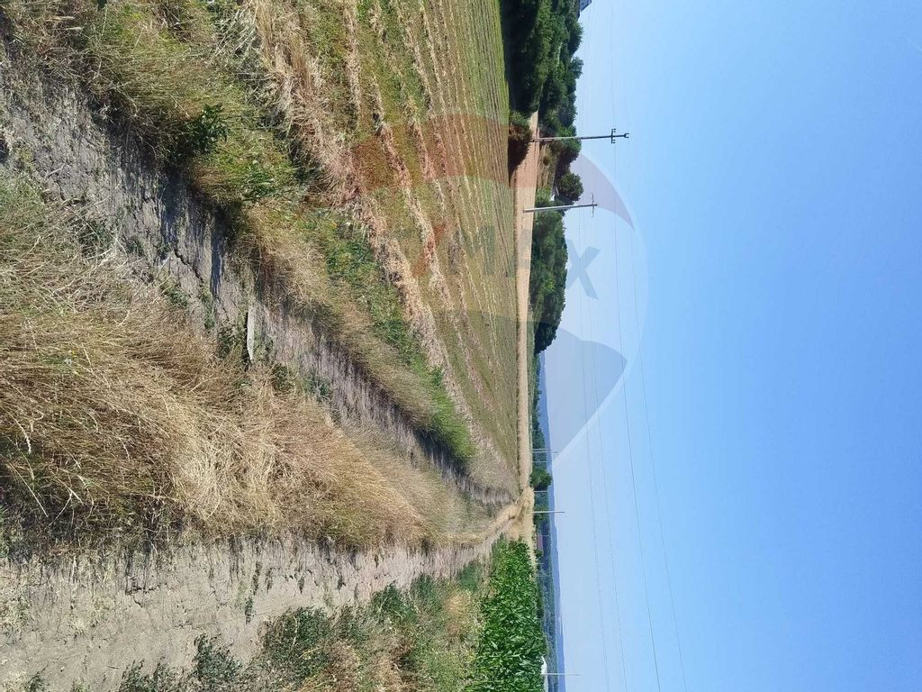 Teren 2,000mp Bradesti / None