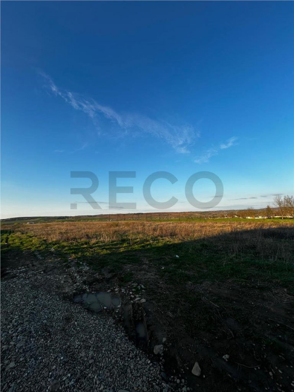 RECO Teren intravilan , Comuna Paleu , Bihor