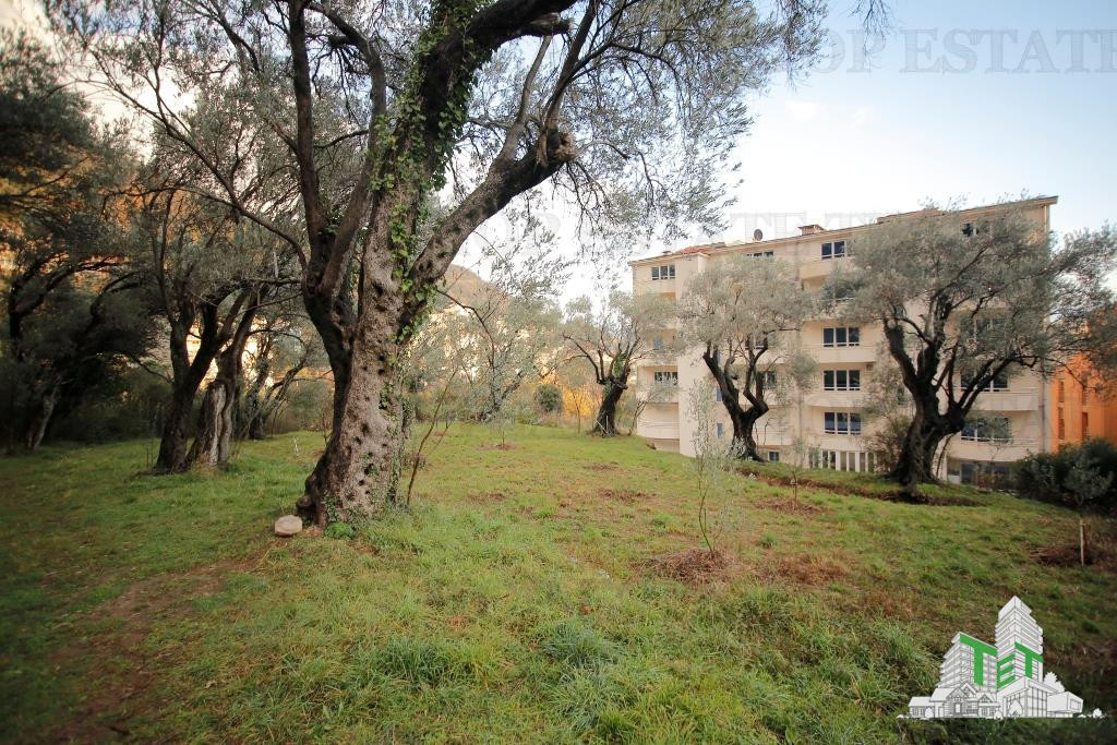 Teren de in Budva Muntenegru