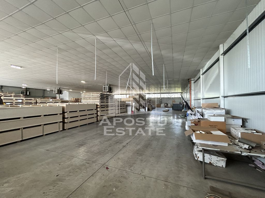 Hala 1400 mp, C. Lugojului, ideala depozitare, acces TIR.