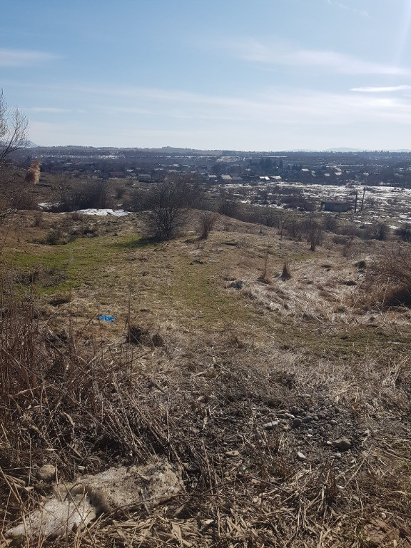 Tautii de Sus,str.Caramizilor,1 ha teren