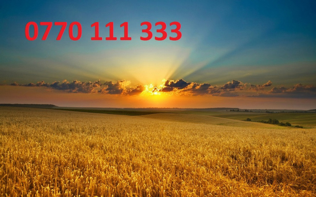 Teren loturi cu suprafete cuprinse intre 2345mp si 6284mp