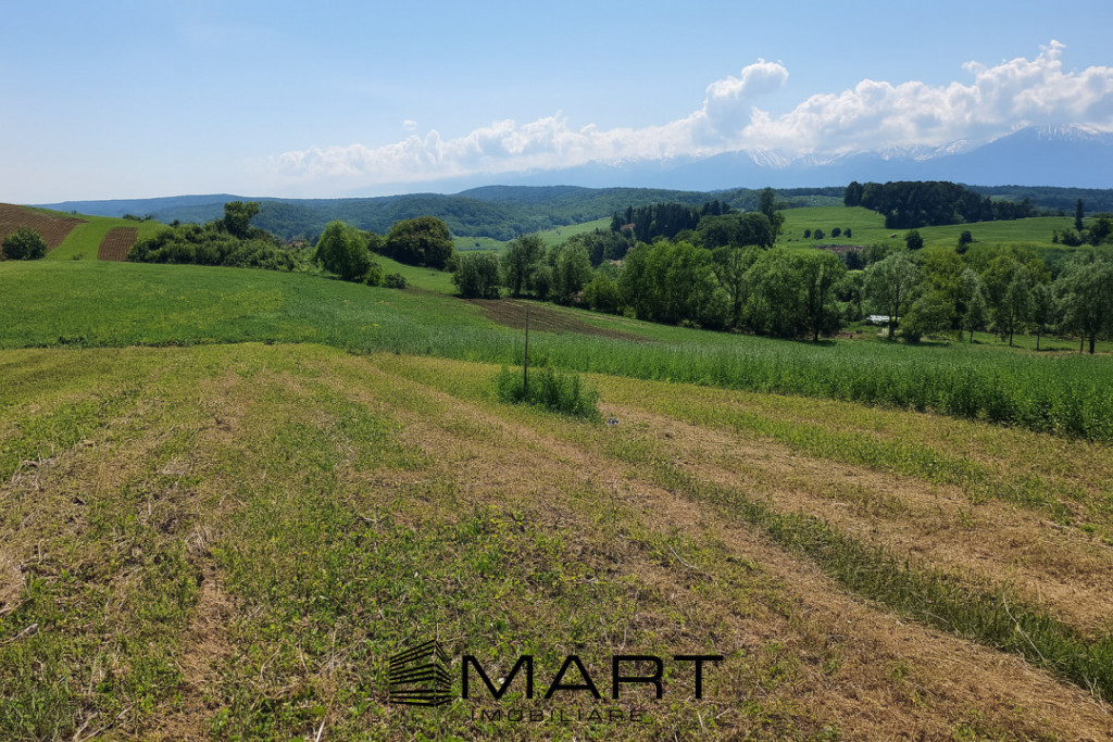 Teren cabana zona Casolt