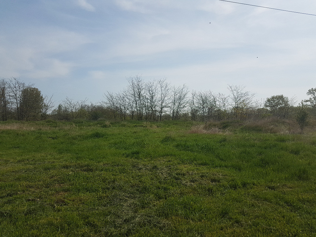 Teren 1598 mp, deschidere 70 ml, strada Arinilor, Gheraiesti