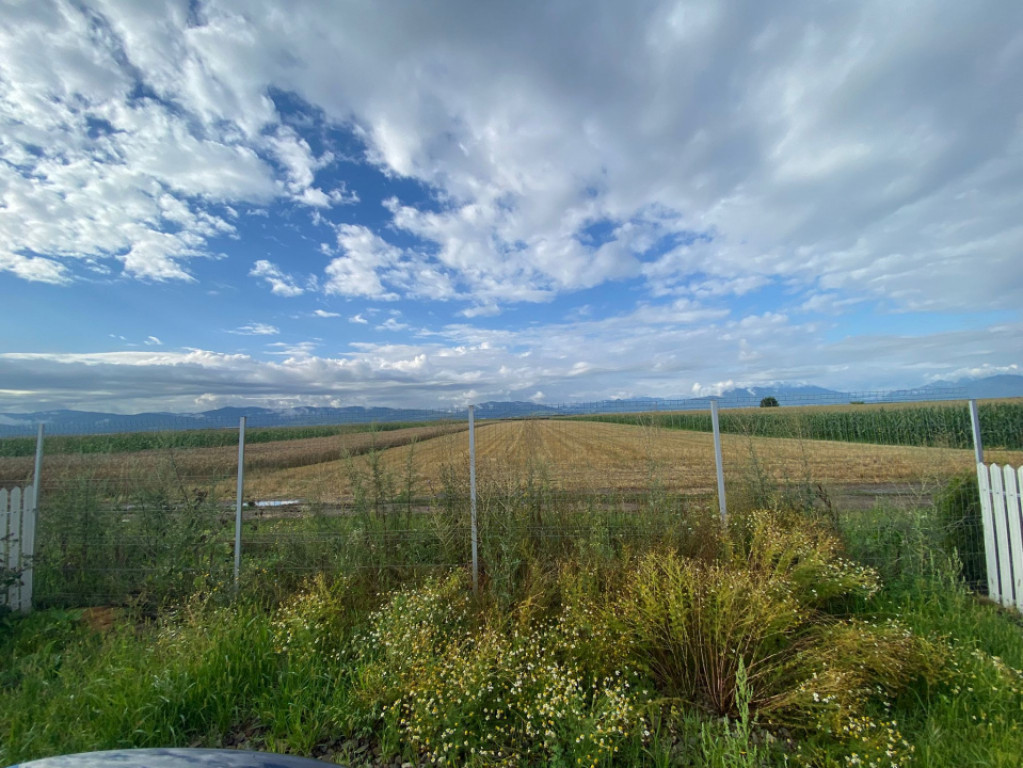 Oportunitate! Teren 14000mp zona Prejmer str. Venus