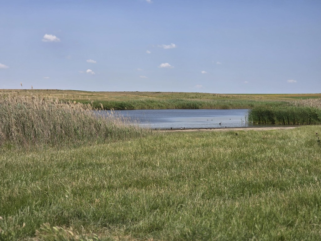 Oferta pret. teren Balta ritm excelent crestere peste 190000mp