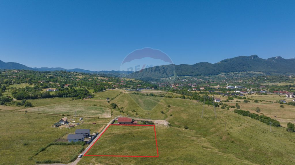 Teren Tohanu Nou, intrare Sohodol, 4800mp