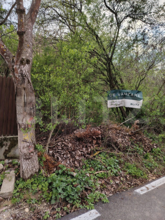 Teren partial intravilan, 8975 mp in Gura Foii