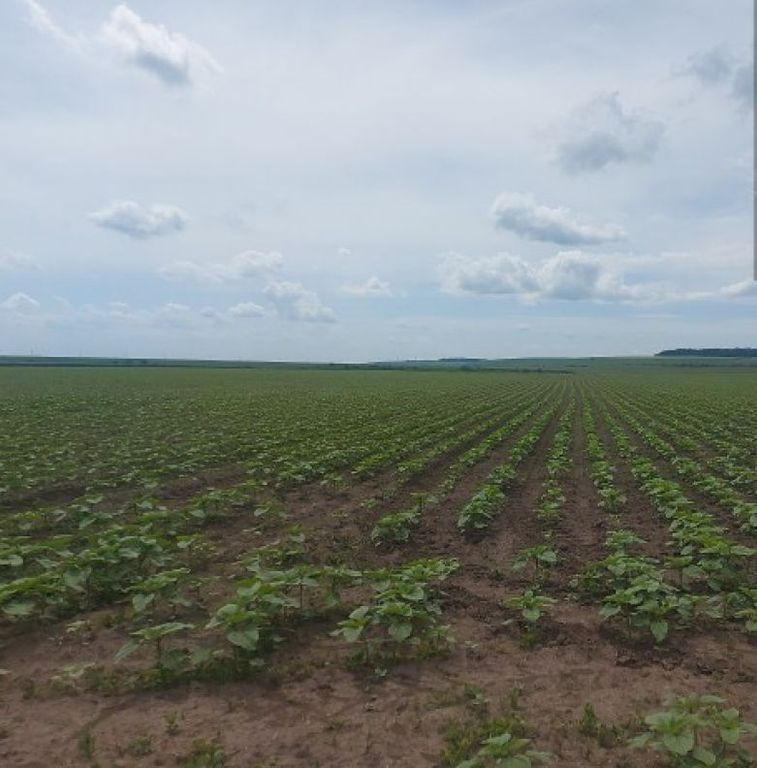 Teren extravilan-Comuna Plesoiu, Jud Olt