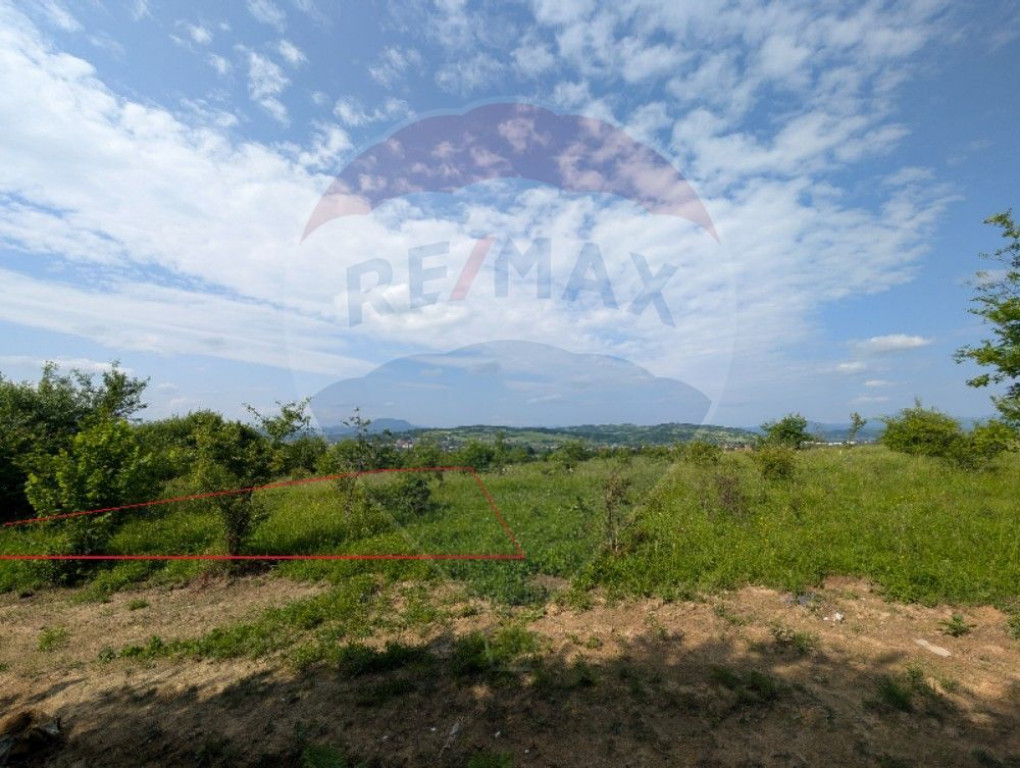 Teren intravilan de vânzare 2.444 mp - Târgu Lăpuș