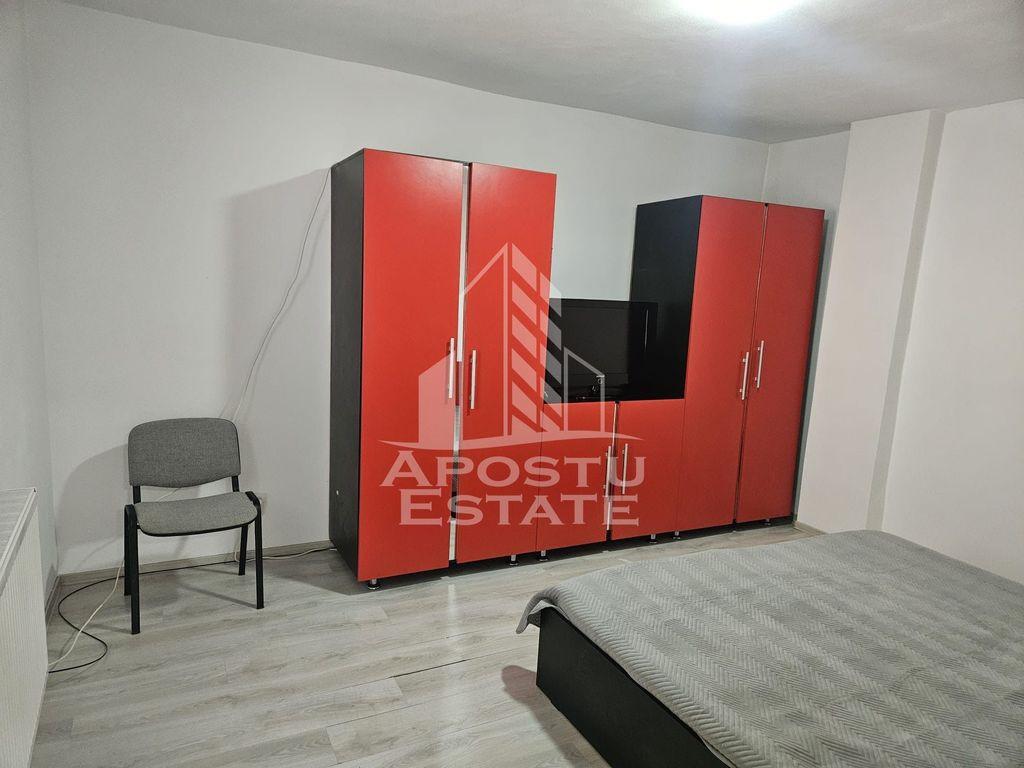 Apartament cu o camera Buziasului
