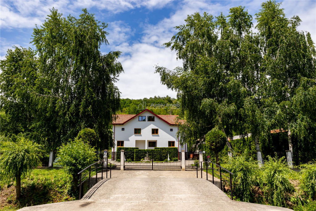 Vila 7 camere - Babana - Arges - teren 4391 mp - fara comisi