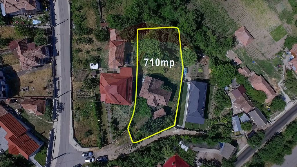 Casa cu gradina de vanzare in Copaceni
