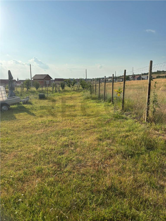 RECO Teren intravilan Betfia