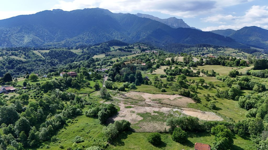 Comision 0% | Teren intravilan 3000 mp| Sohodol | Priveli...