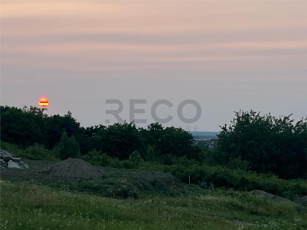 RECO Teren in Paleu 903 mp, acces rapid din Saldabagiu de Mu