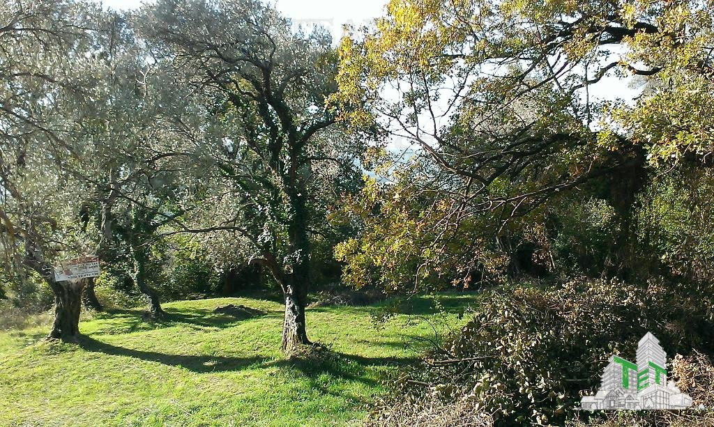 Teren de in Tivat Muntenegru