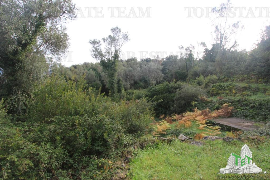 Teren de in Tivat Muntenegru