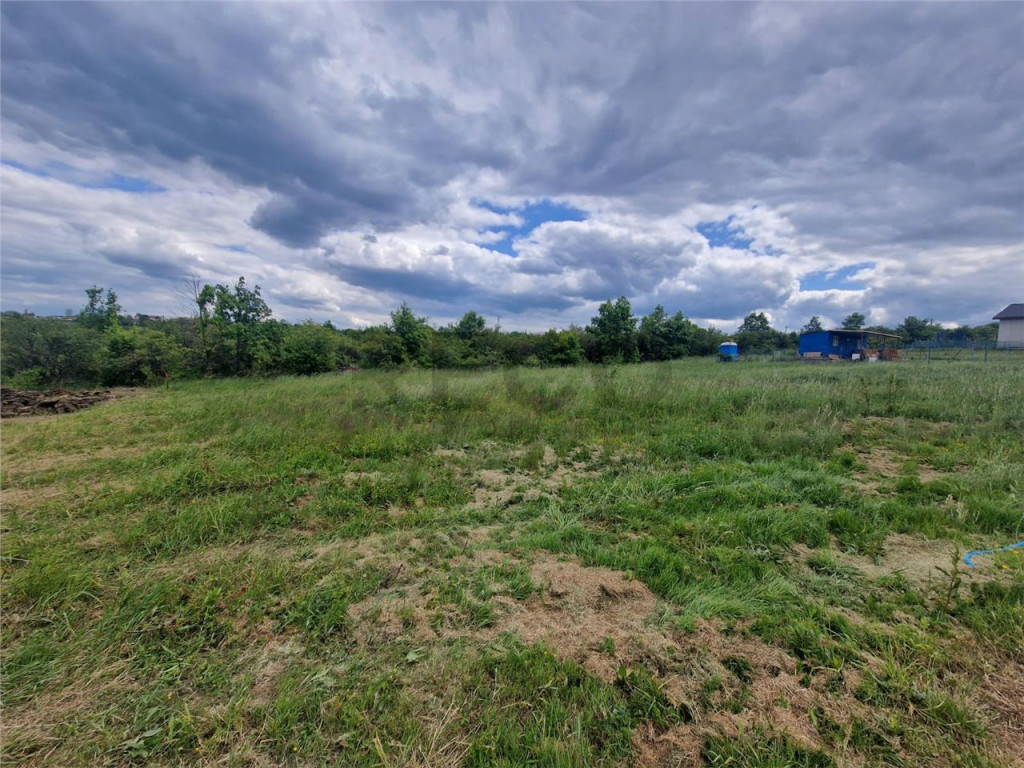 RECO teren intravilan Saldabagiu de Munte