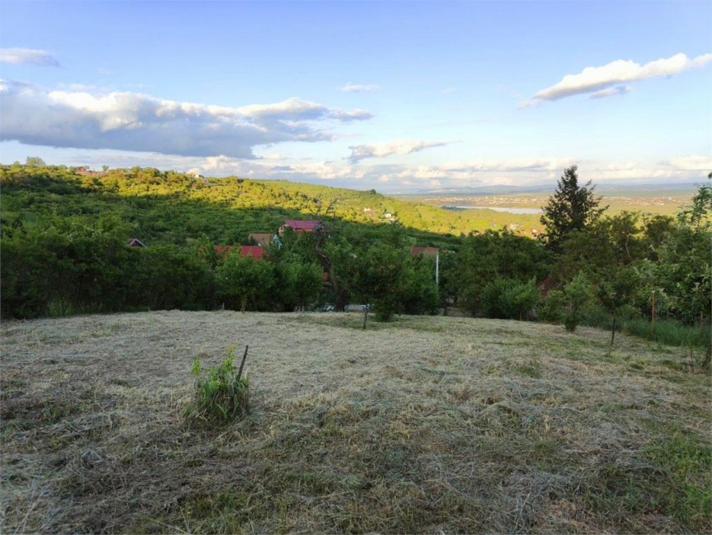 RECO Teren intravilan zona Podgoria