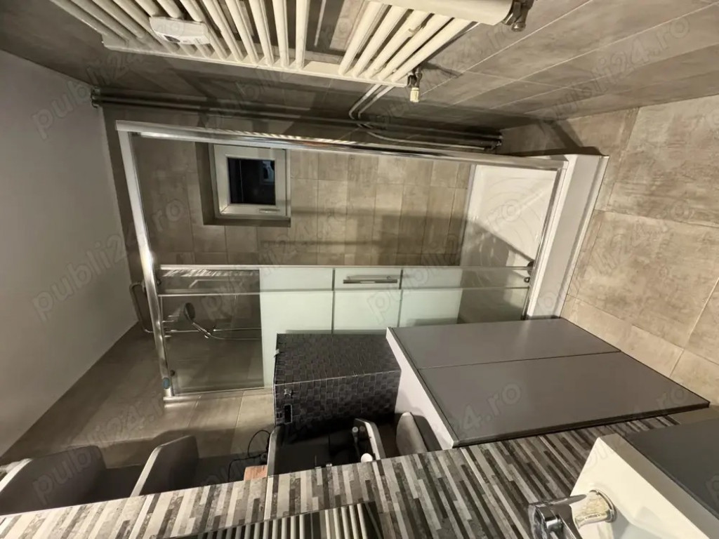 Mihai bravu banu udrea vitan