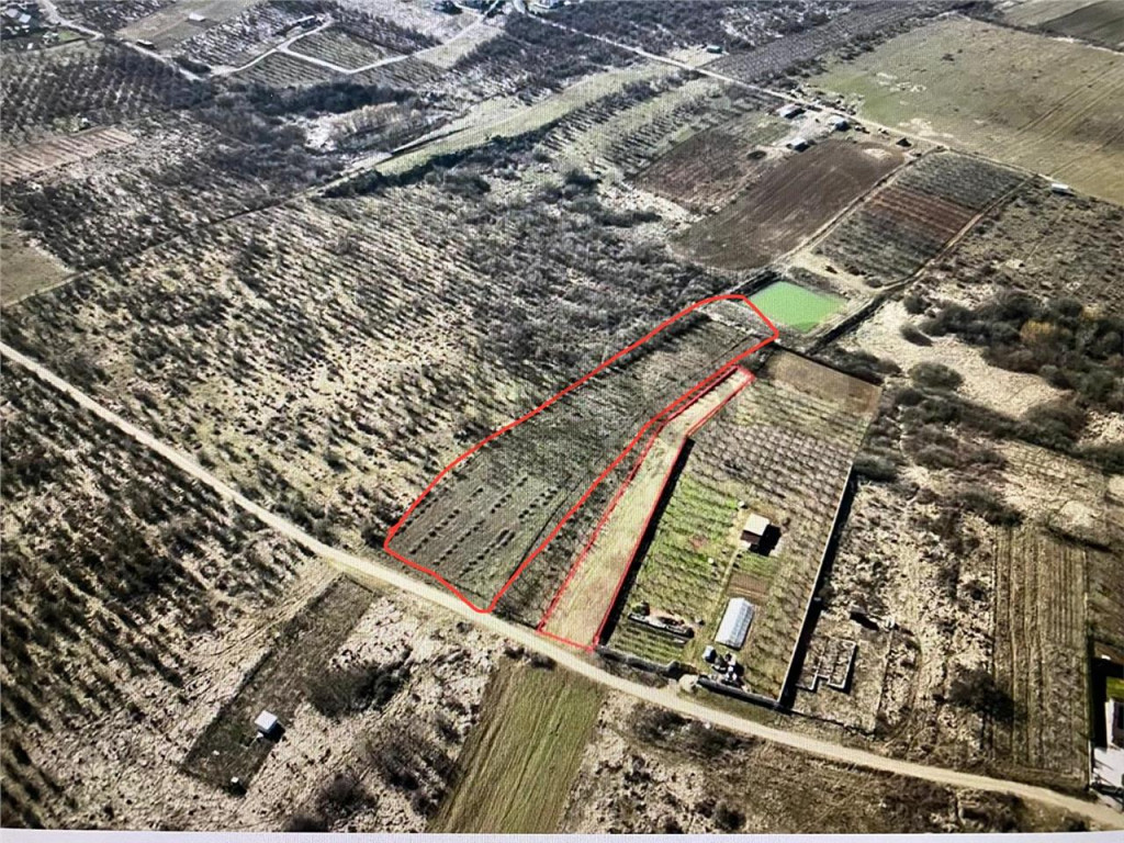 RECO Teren intravilan in Paleu 6178mp