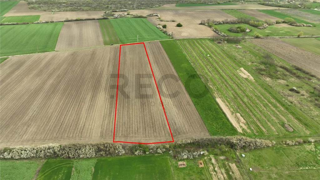 RECO . TEREN INTRAVILAN OSORHEI