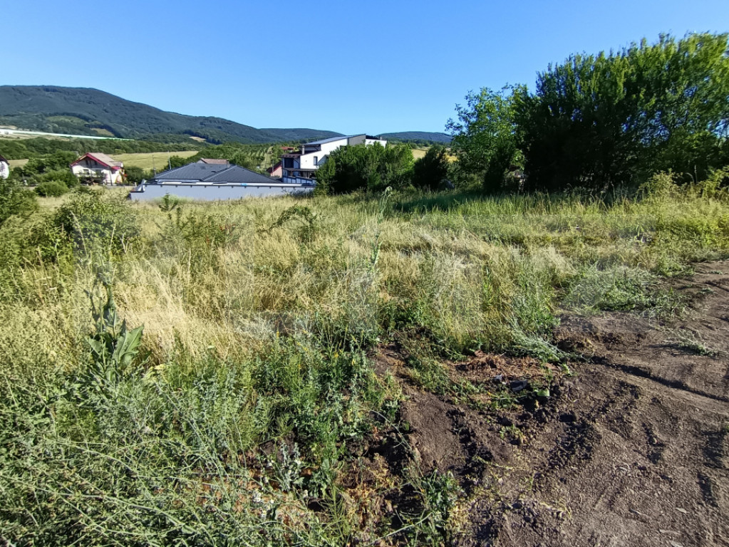 Teren în suprafață de 1100 mp, pe strada Crasnei