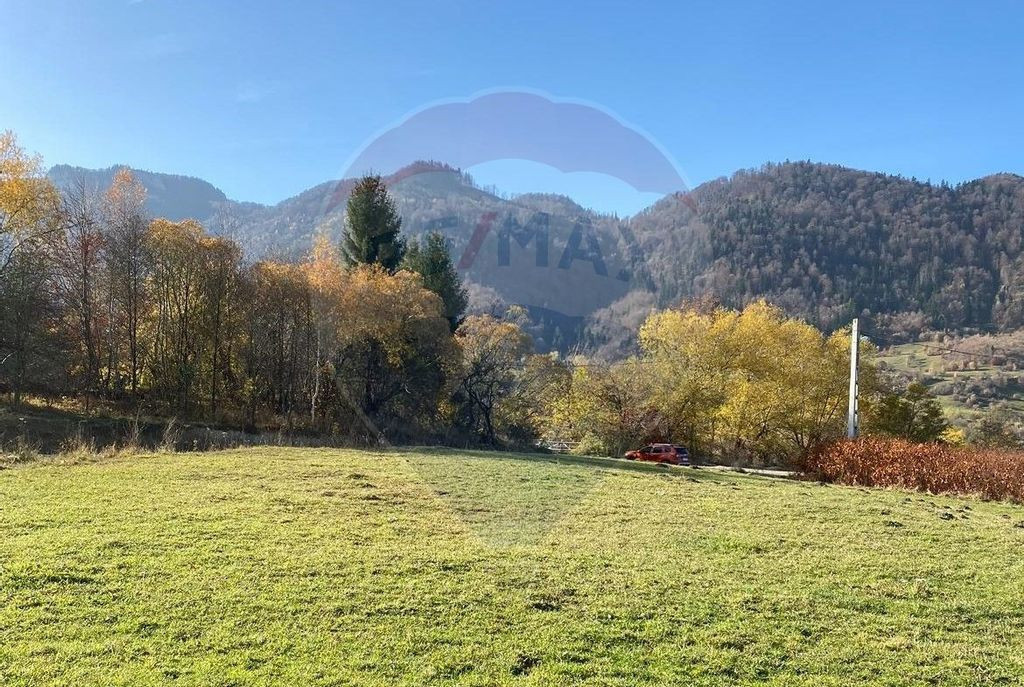 Teren Zarnesti- Tohanita, 4312 mp, deschidere generoasa d...