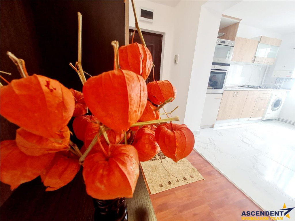 Prima !Compozitie luminoasa, renovat complet, structura deco