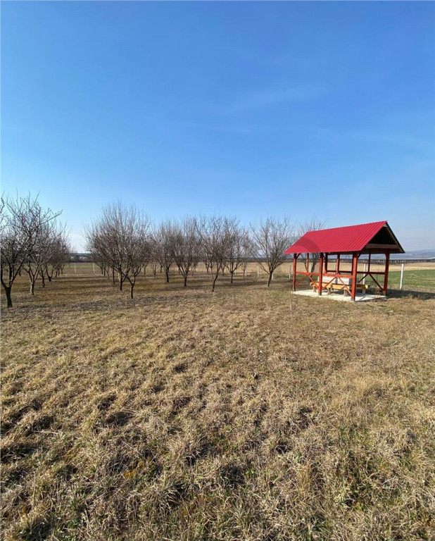 RECO Teren intravilan in zona Alesd Sat Subpiatra 800mp