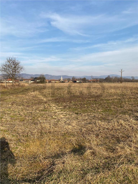 RECO Teren in Topa de Cris 7560mp aproape de E60