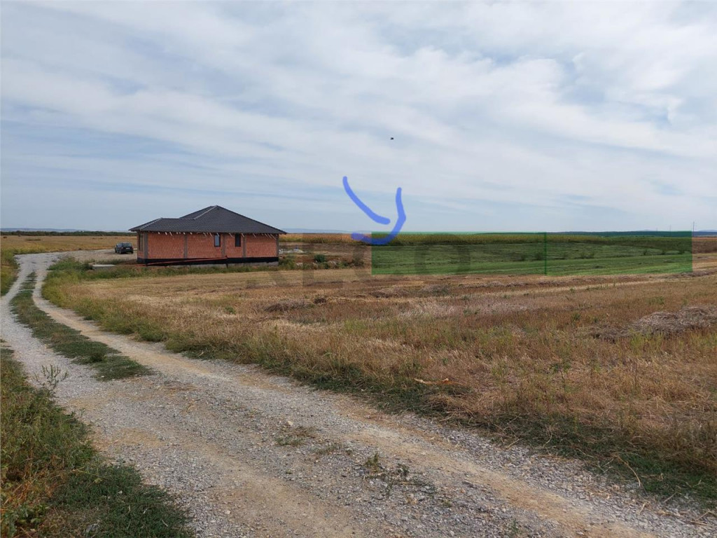 RECO Teren intravilan Cheriu 573mp