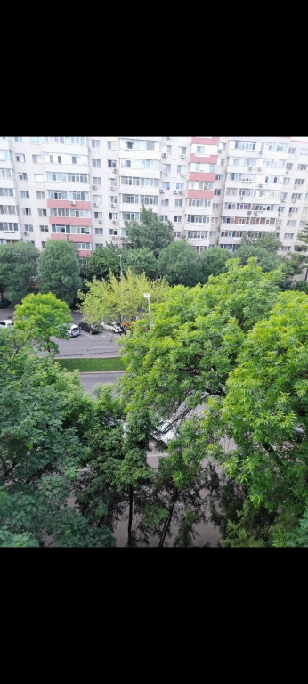 Piata sudului obregia confort 2