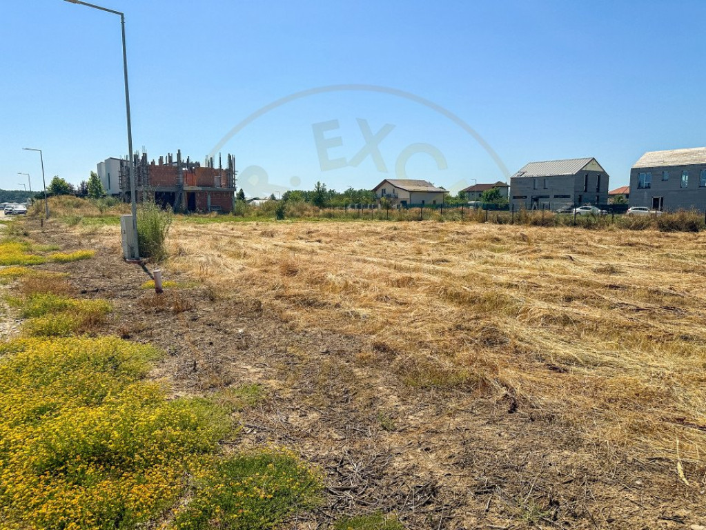 Teren 1116 mp gulia Eden Forest