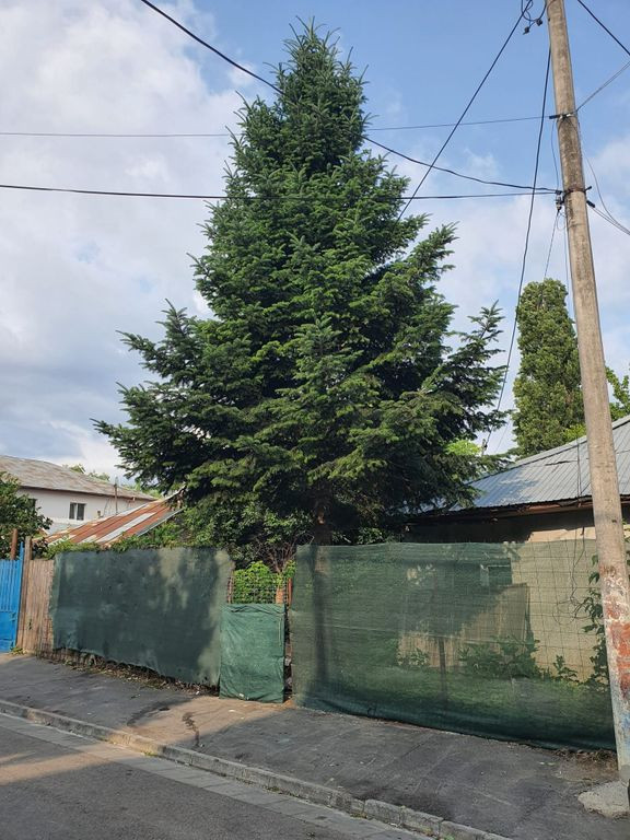 Teren intravilan 190 mp curti constructii - Lac Plumbuita