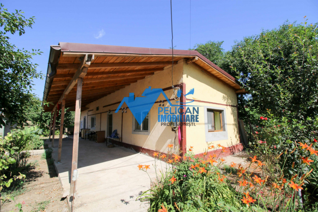 Casa cu teren in Cataloi - 2500mp