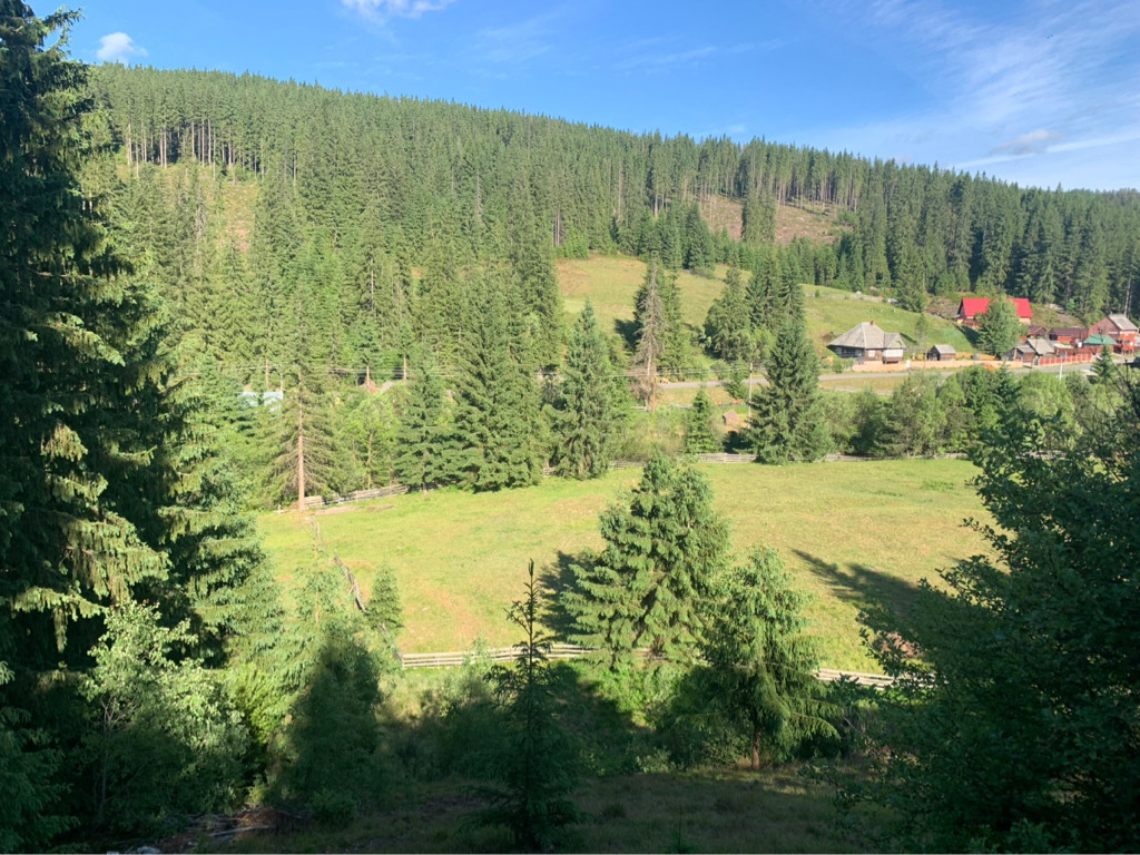 Teren intravilan in satul Poiana Horea 7700mp