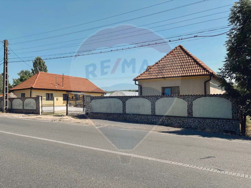 Casă de vânzare cu teren de 21.772 mp și 4 sere, Borod