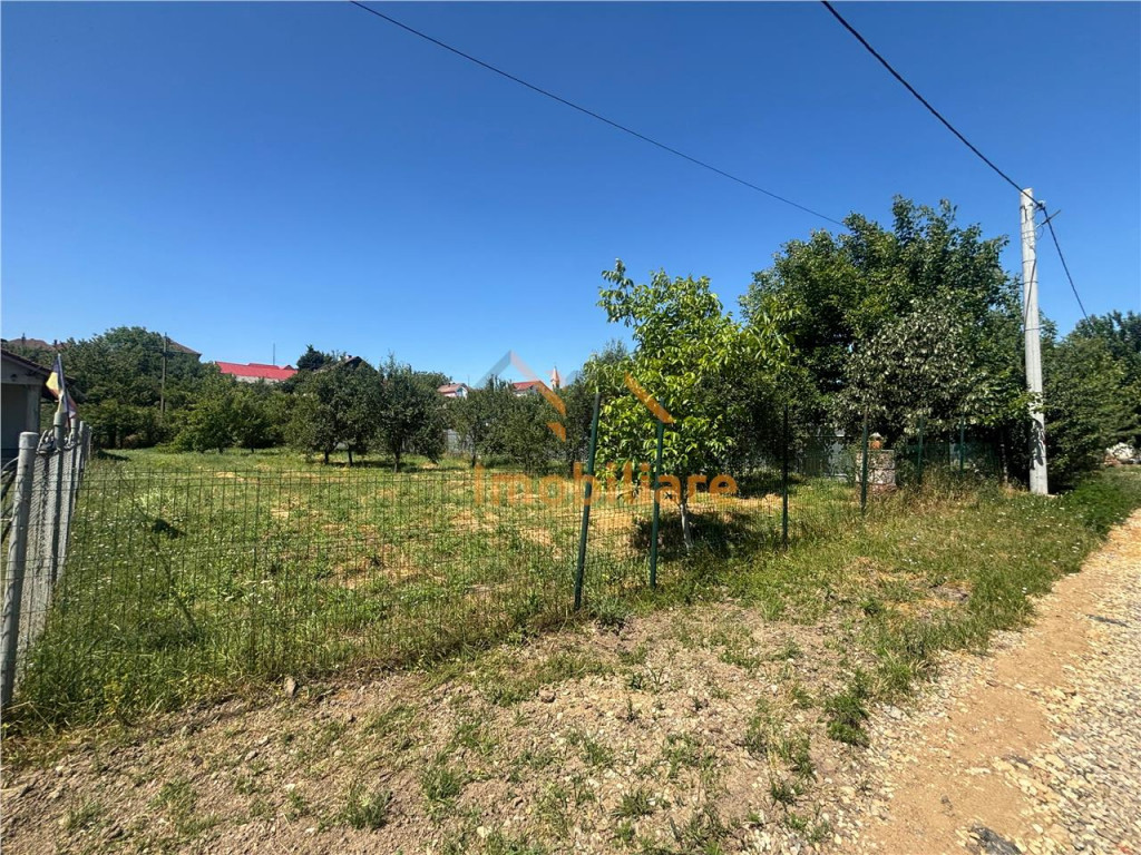 TEREN INVESTITIE BAILE FELIX /P 4/ FRONT 18 ML/750 MP