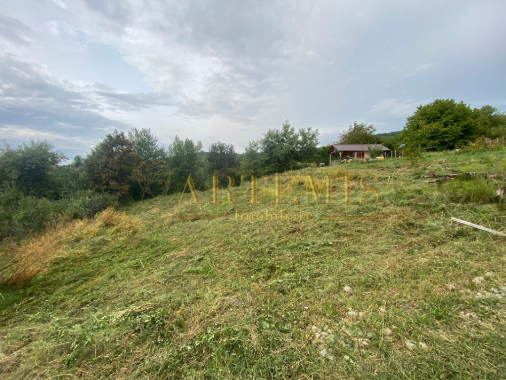 Teren intravilan 1279 mp , Valea Budacului