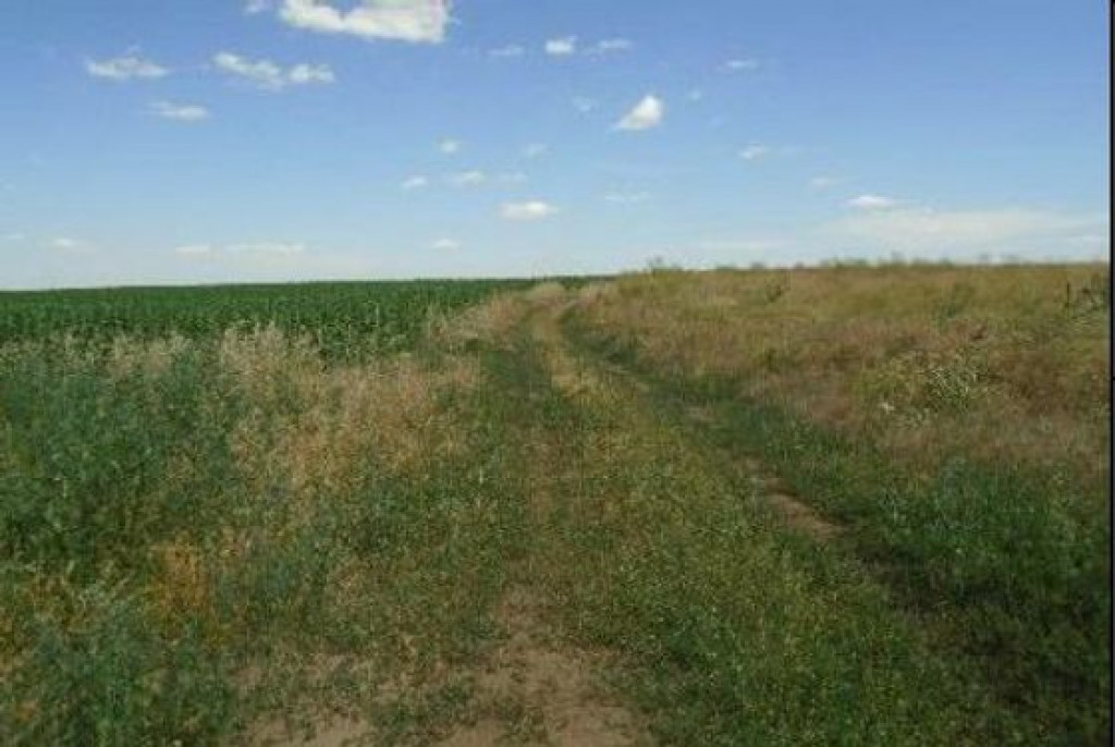 Teren Manasia, cota parte 1/4, ID: R2609583