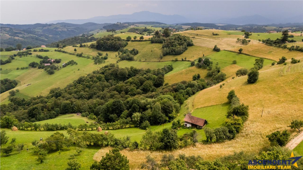 Oaza de liniste si frumusete, reconectare cu natura,16.000 m