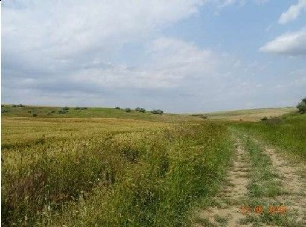 Teren extravilan Oltina, cota parte 1/2, ID: R2610910