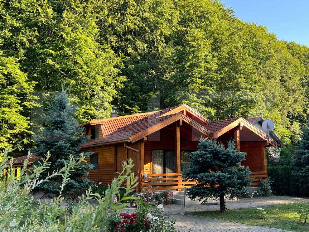 Cabana modernă în Câmpul Cetății – confort și natur?