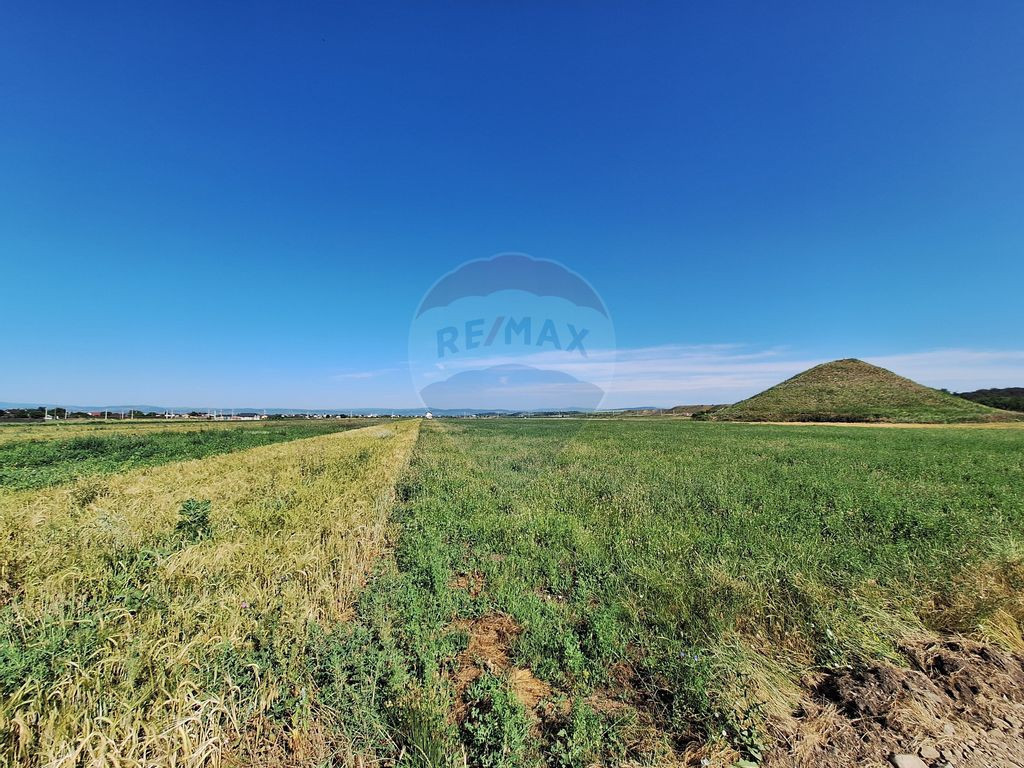 Teren intravilan Maracineni / Strada Manga