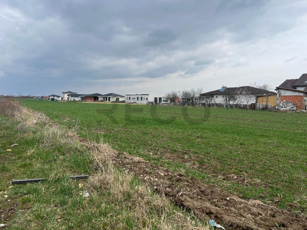 RECO IMOBILIARE,TEREN Cihei