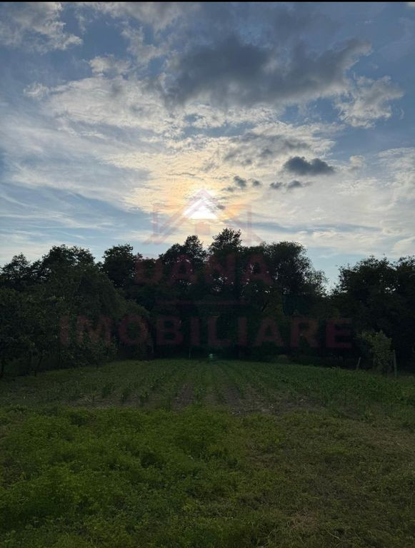 TEREN INTRAVILAN ÎN CARANSEBEȘ\ ZONA PĂLTINIȘ\ COMISI...