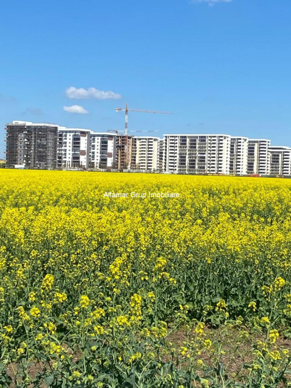 Vânzare teren industrial – Brănești Pădure,