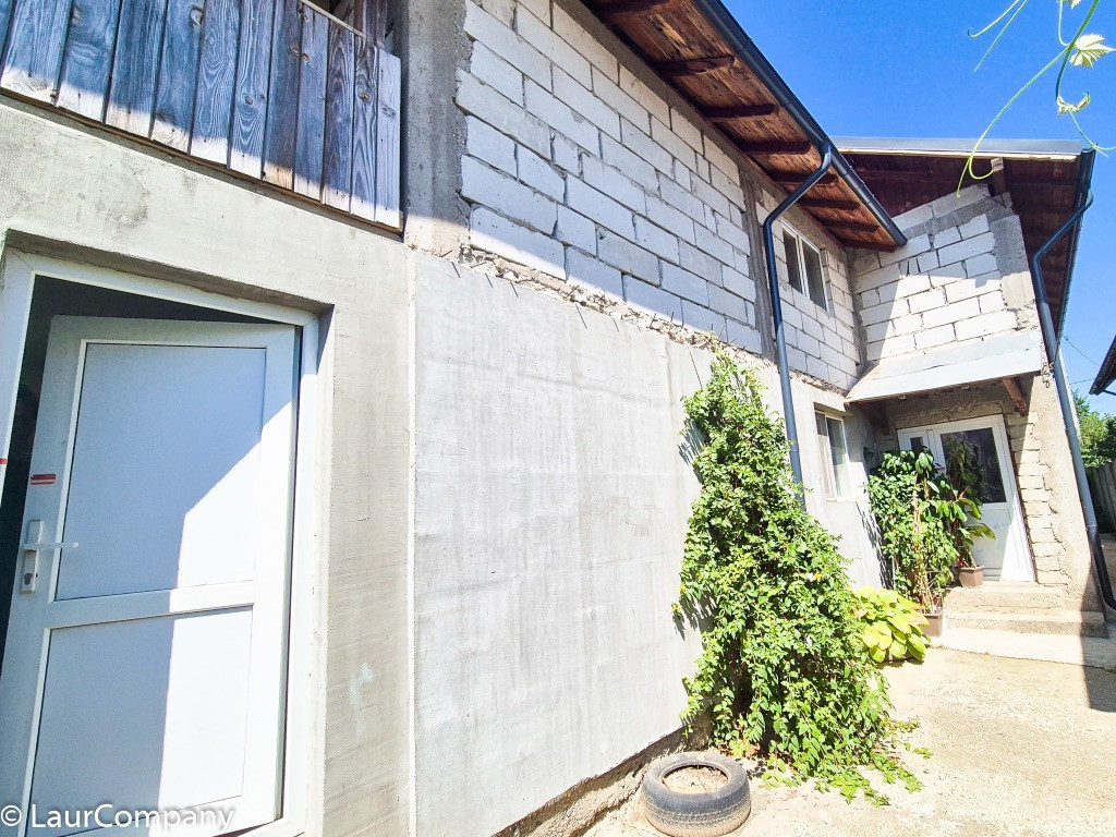 Casa Borlesti Merisani Arges